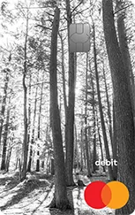 A black and white photograph of the forest by Nine Design + Homes is imposed on our Mastercard debit cards